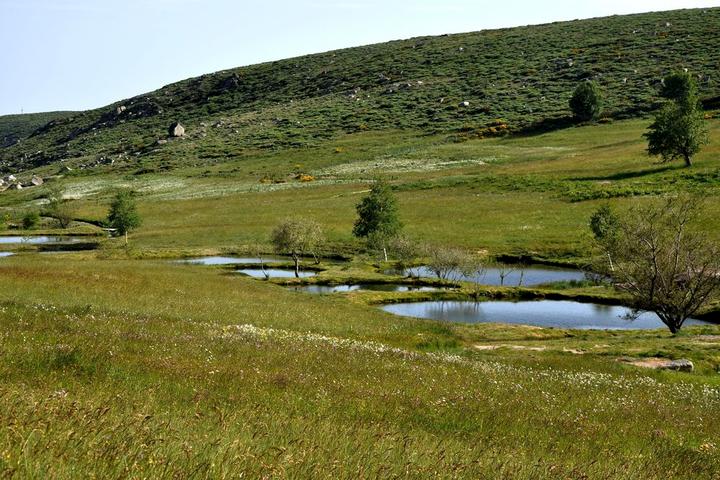 Le chaos de Montselgues