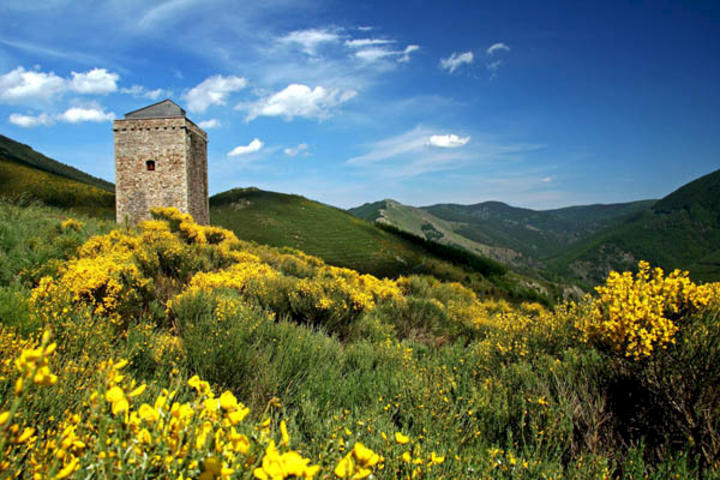 La tour de Saint-Laurent-les-Bains © Rissoan