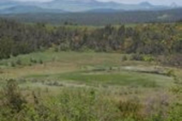 Entre rivières et tourbières Entre rivières et tourbières
