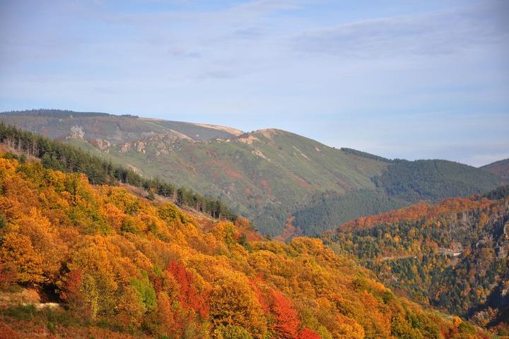 Vallée de la Borne ©  Marie Denoyelle