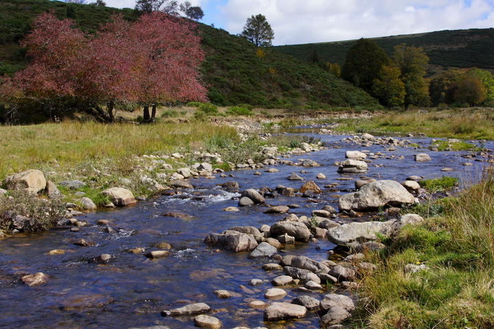 La Loire à Sainte-Eulalie